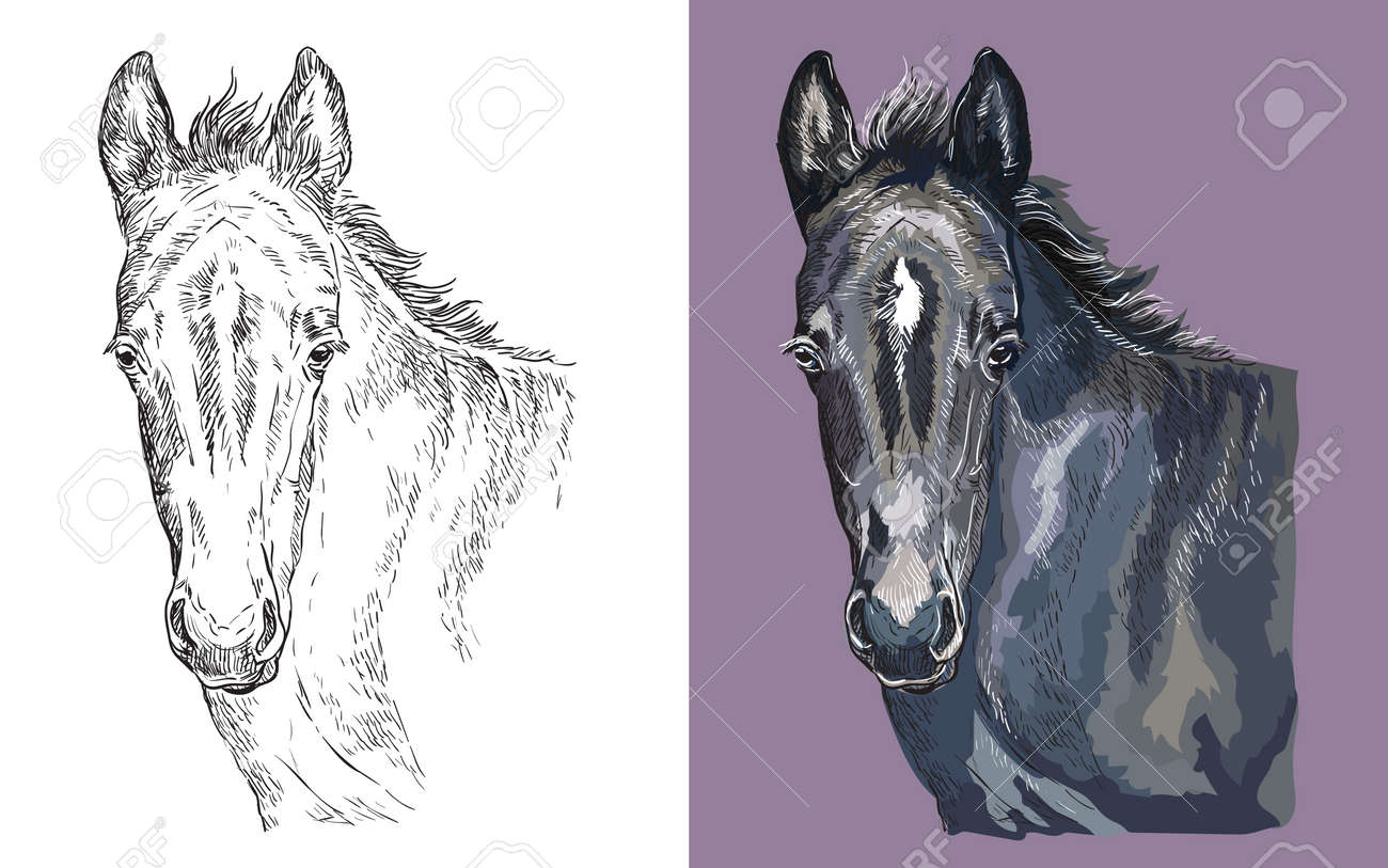 抽象画 馬のデザイン モノクロ（シリーズ1（抽象画モノクロ